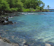 Ahihi Marine Reserve Photo