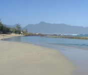 Baby Beach Photo