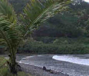 Honomanu Beach Photo