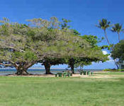 Honokowai Beach Park