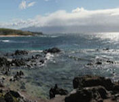 Hookipa Lava Point Photo