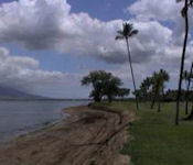 Kihei Beach Reserve Photo