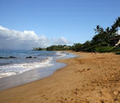 Makena Surf Beach Photo