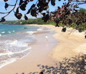 Maluaka Beach Photo