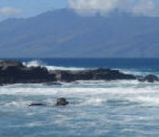 Slaughterhouse Beach Photo